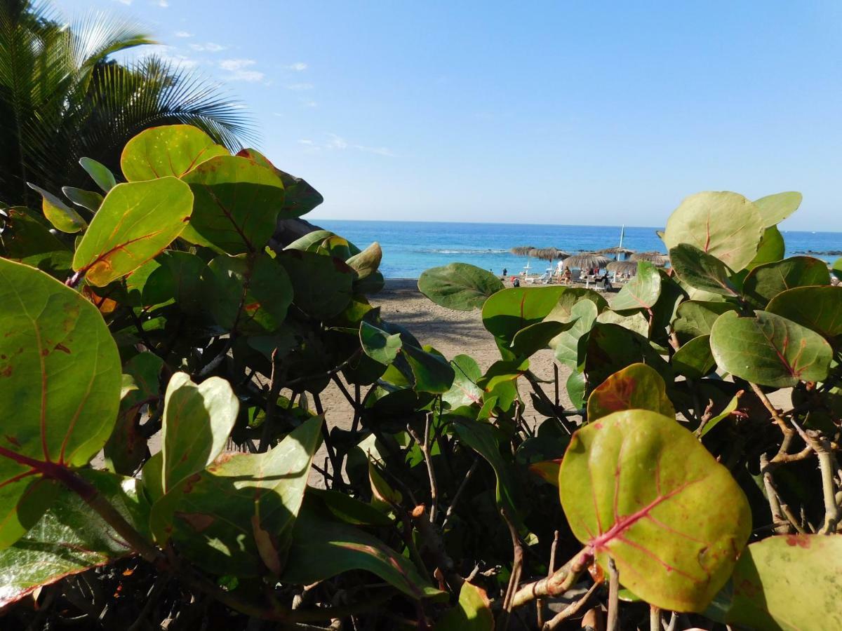 Brisas Del Mar Apartment Costa Adeje  Bagian luar foto
