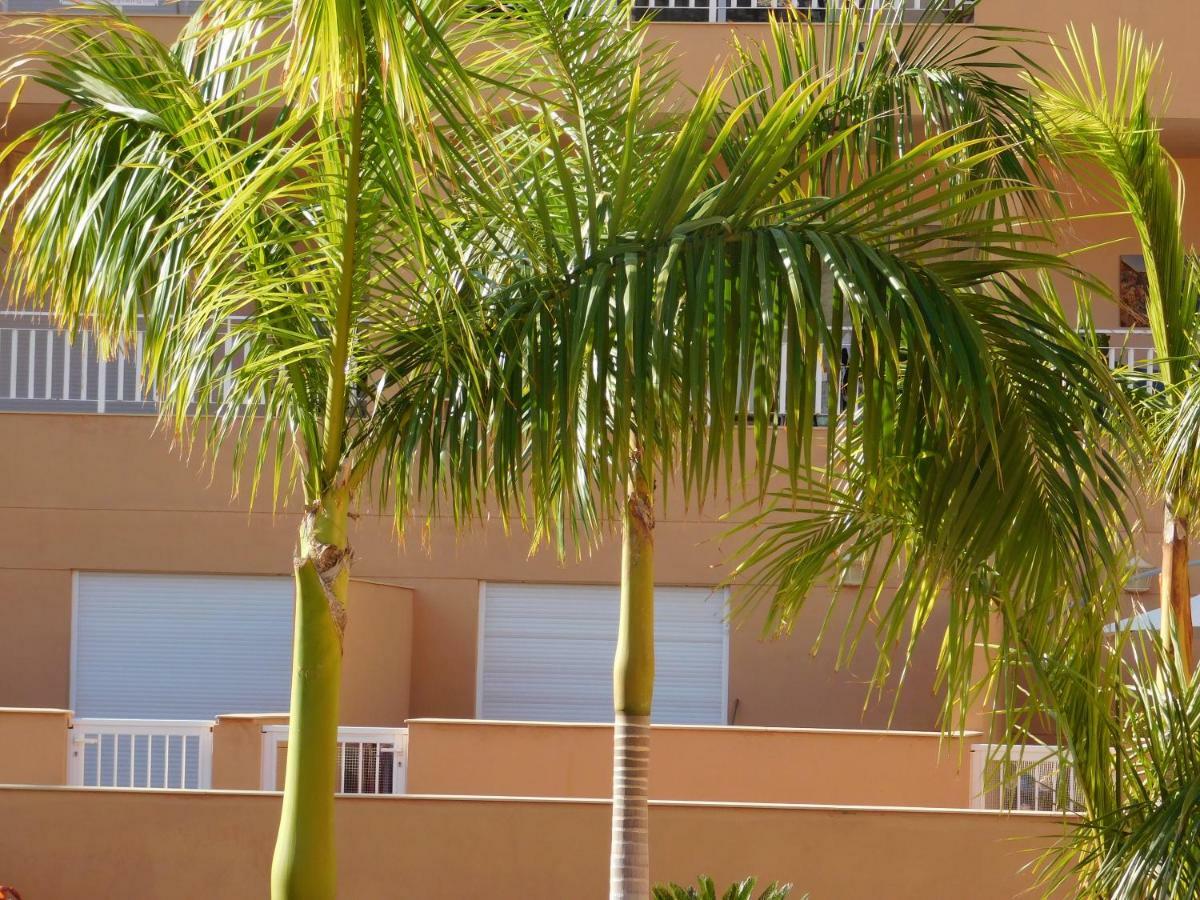 Brisas Del Mar Apartment Costa Adeje  Bagian luar foto